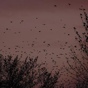 筋膜枪让我高潮了十几次
