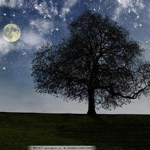 筋膜枪让我高潮了十几次
